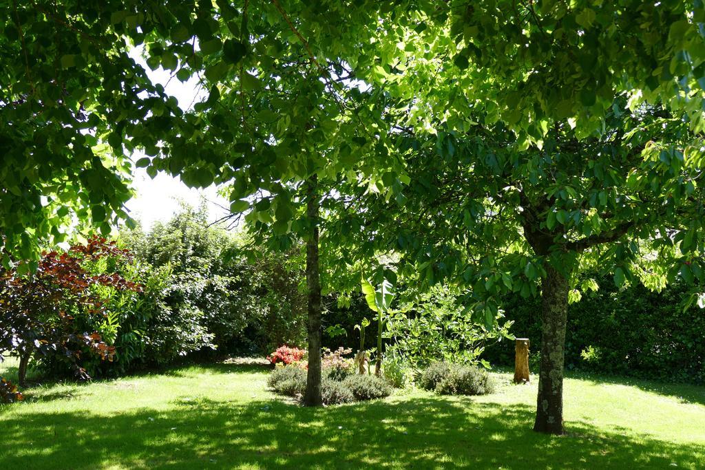 Le Clos Des Perraudieres Кур-Шеверни Экстерьер фото