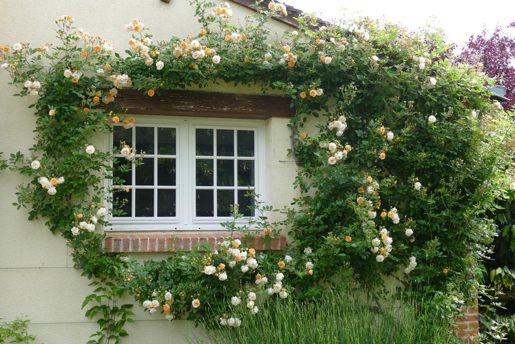 Le Clos Des Perraudieres Кур-Шеверни Экстерьер фото